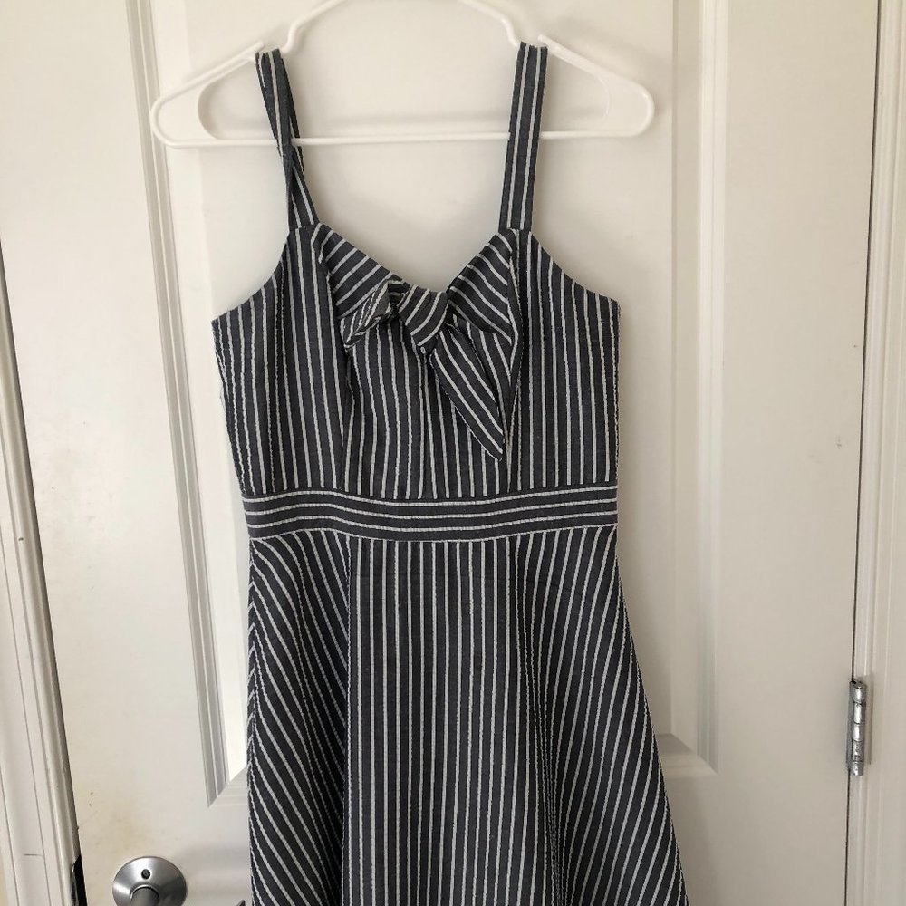 Roz & Ali Seersucker Dress